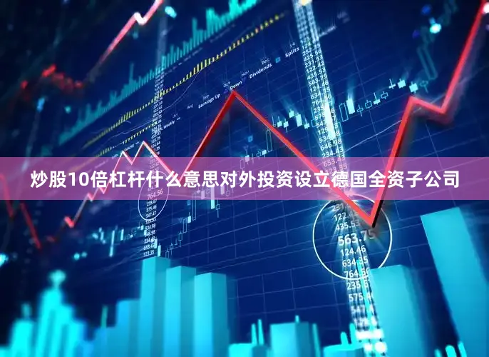 炒股10倍杠杆什么意思对外投资设立德国全资子公司