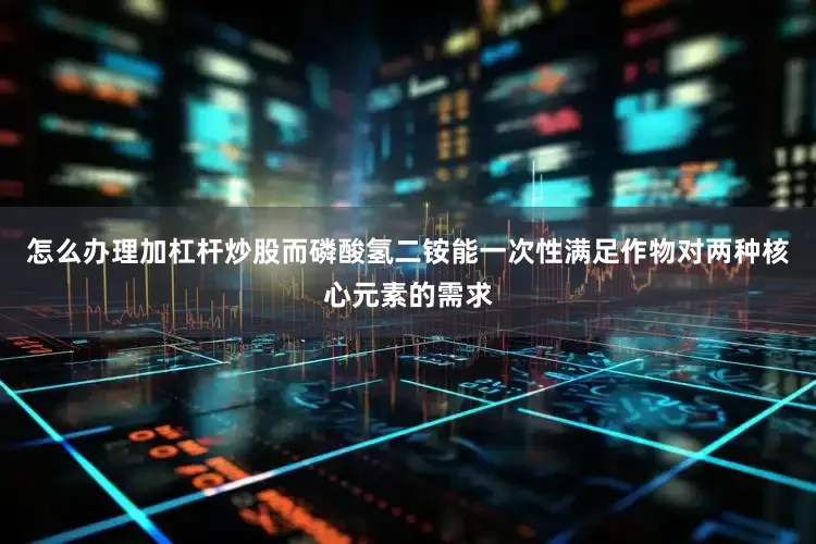 怎么办理加杠杆炒股而磷酸氢二铵能一次性满足作物对两种核心元素的需求