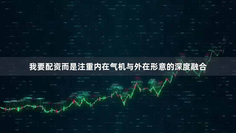 我要配资而是注重内在气机与外在形意的深度融合